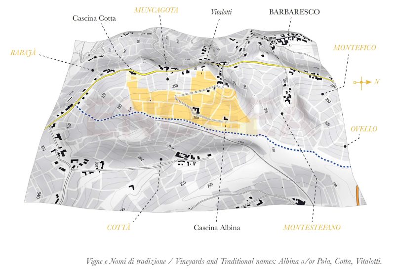 I Cru di Barbaresco - Ronchi