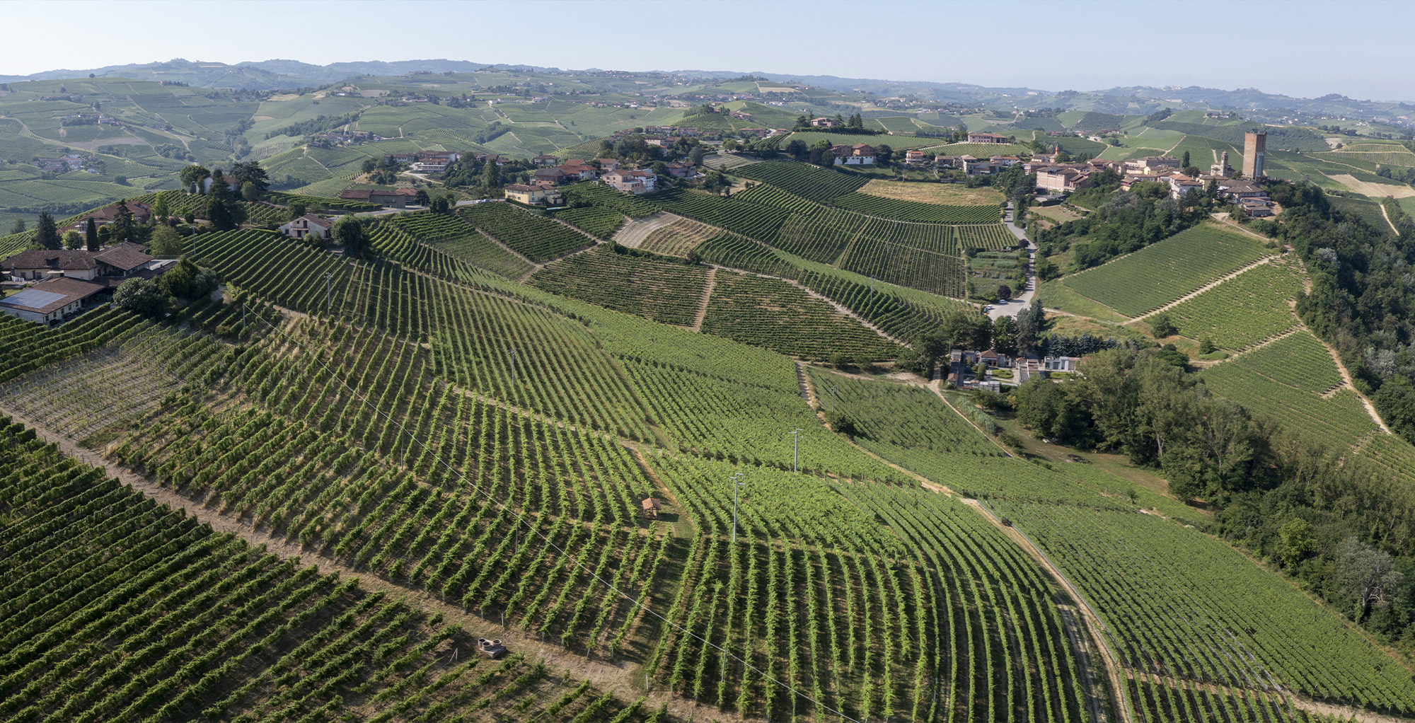 boffa-wine-barbaresco-cru-ovello-full Panoramica del Cru Ovello - Barbaresco