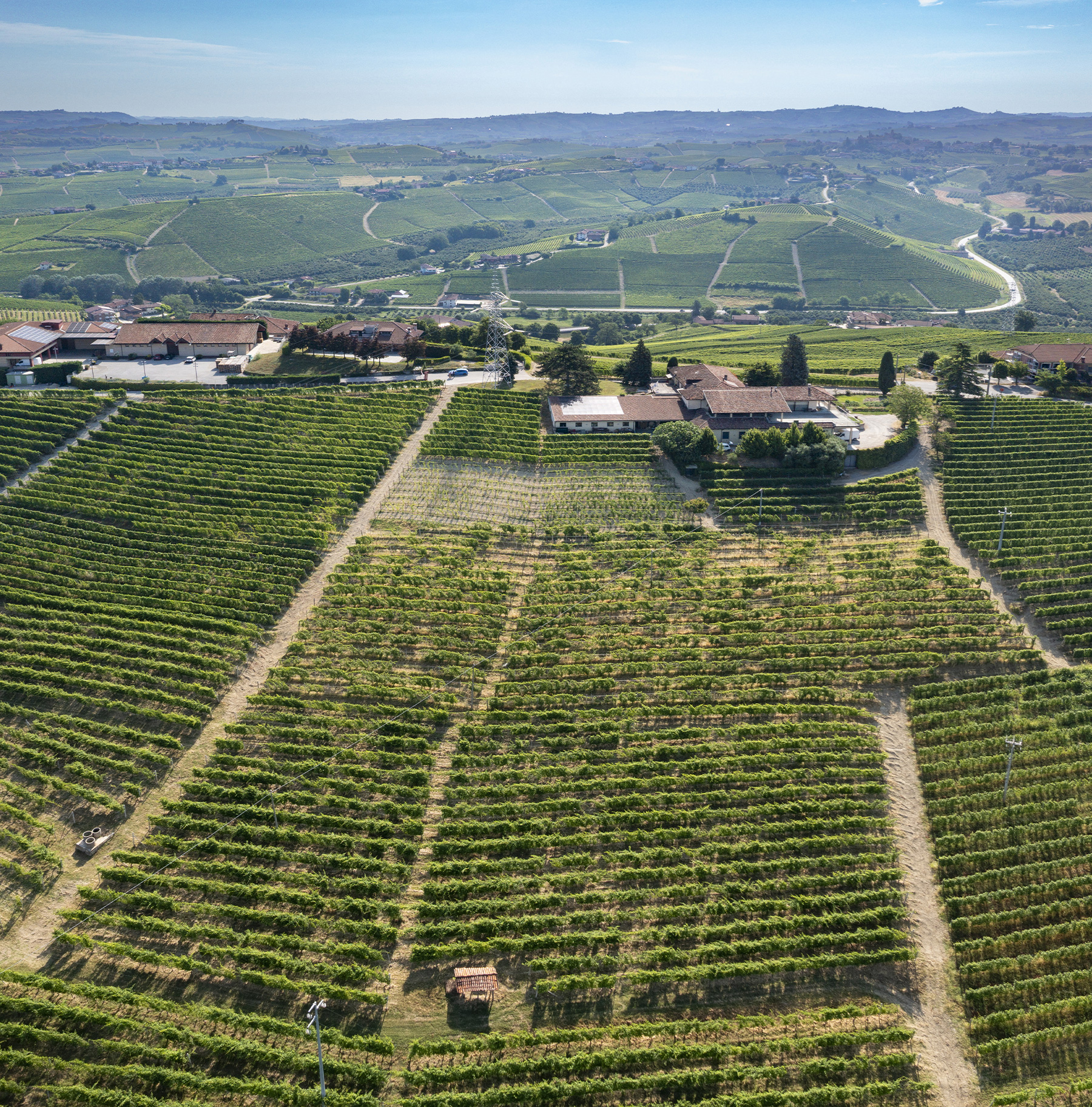Ovello - Boffa Carlo - Azienda Vitivinicola a Barbaresco