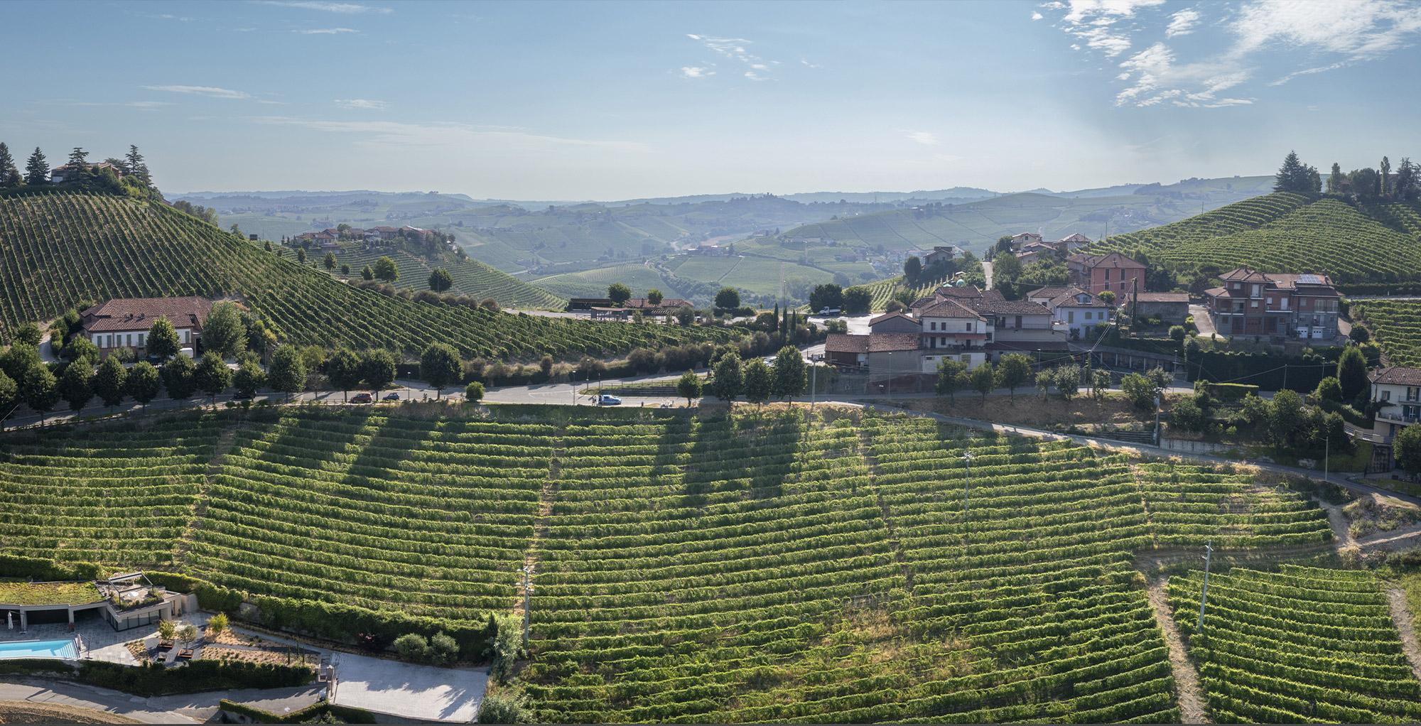 boffa-wine-barbaresco-cru-paje-full Panoramica del Cru Pajè a Barbaresco