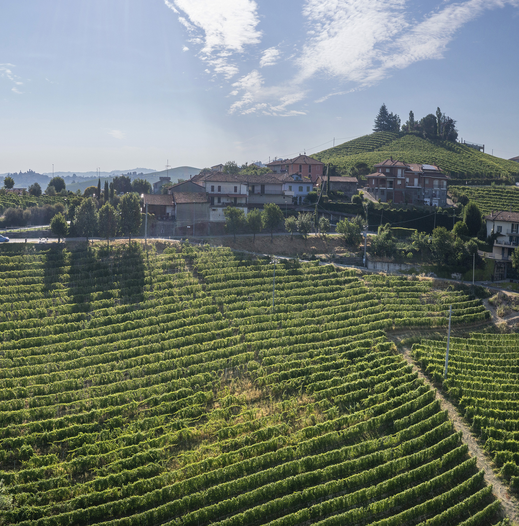 Pajè - Boffa Carlo - Azienda Vitivinicola a Barbaresco